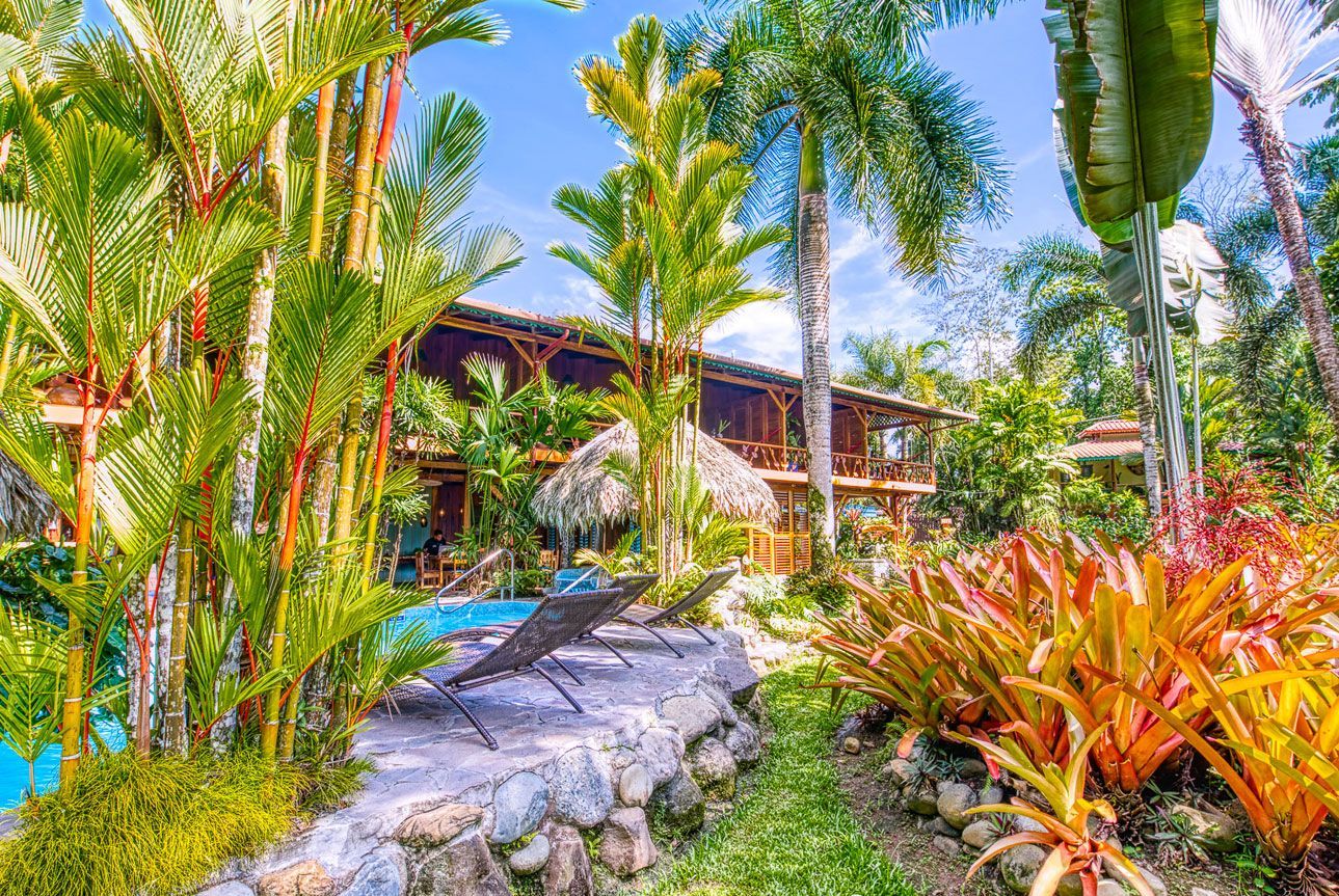 There is a swimming pool in the middle of a lush green garden surrounded by palm trees.
