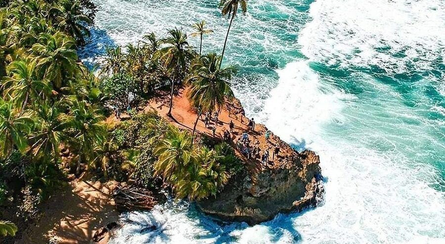 Aerial view of a rocky, palm-covered headland jutting into turquoise ocean waves crashing against the shore.