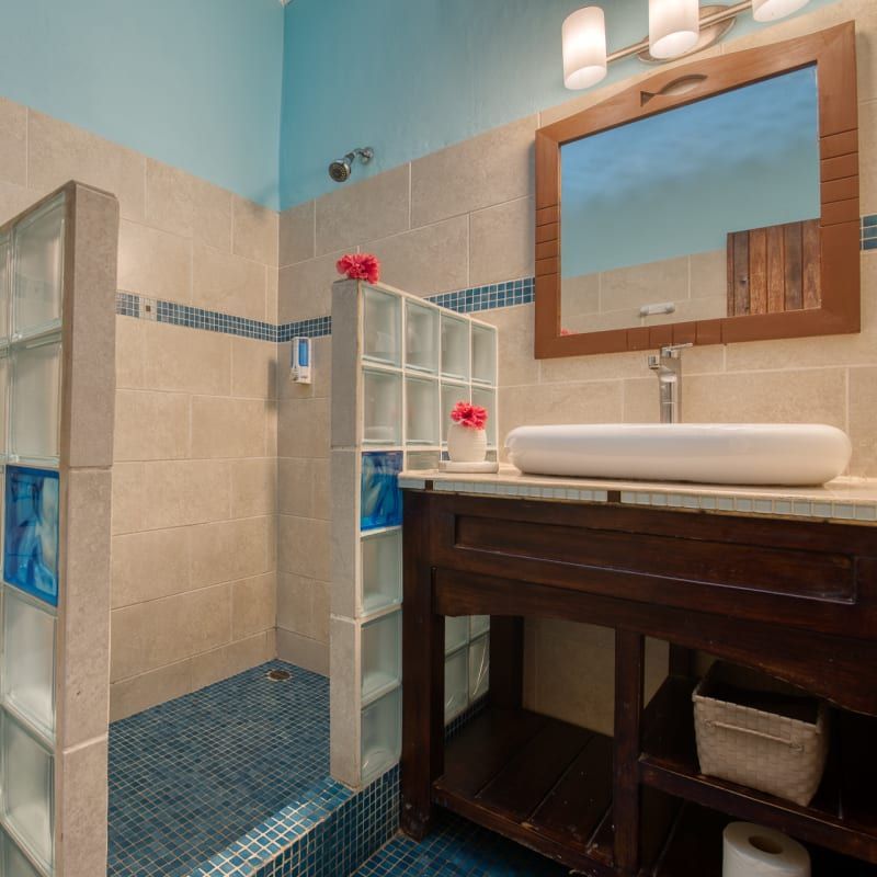 A bathroom with a sink a mirror and a walk in shower
