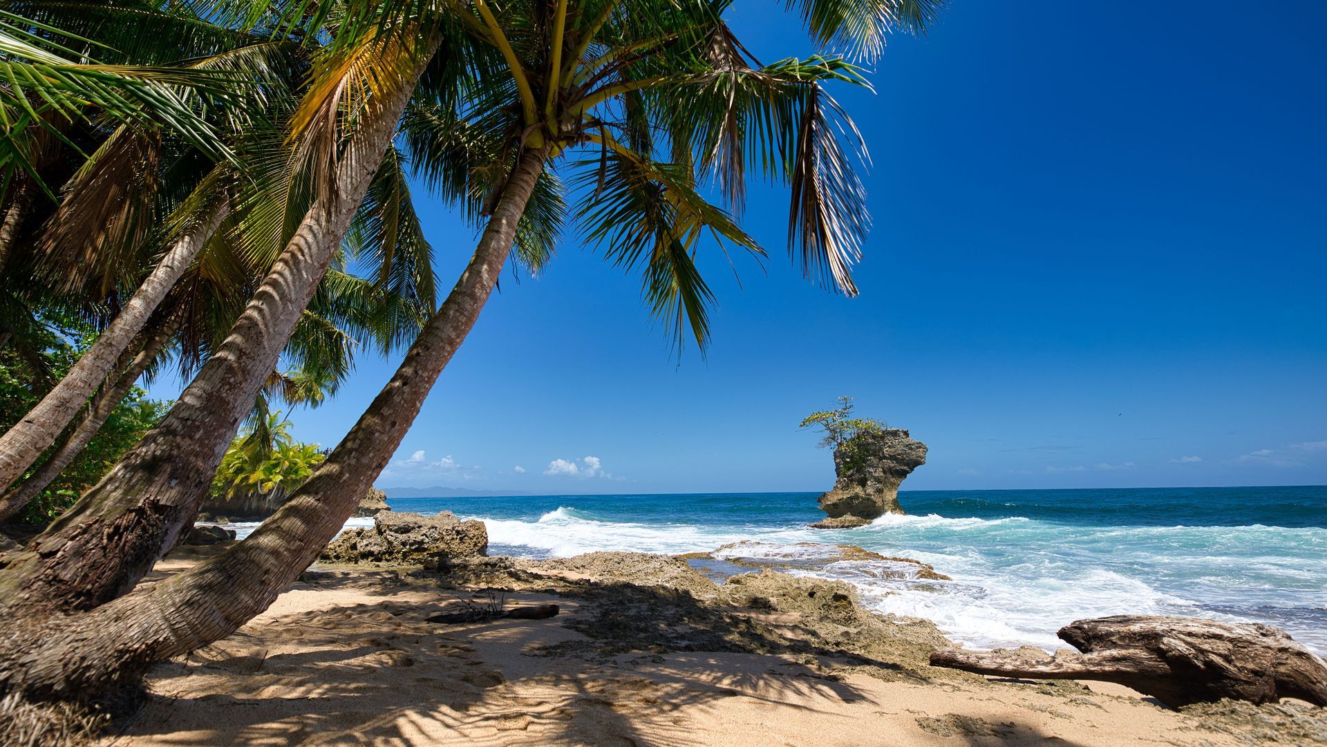 Beaches in Puerto Viejo Costa Rica