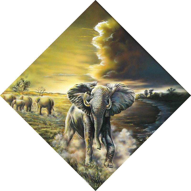 Een olifant, met op de achtergrond andere olifanten, onder een dramatisch bewolkte lucht.
