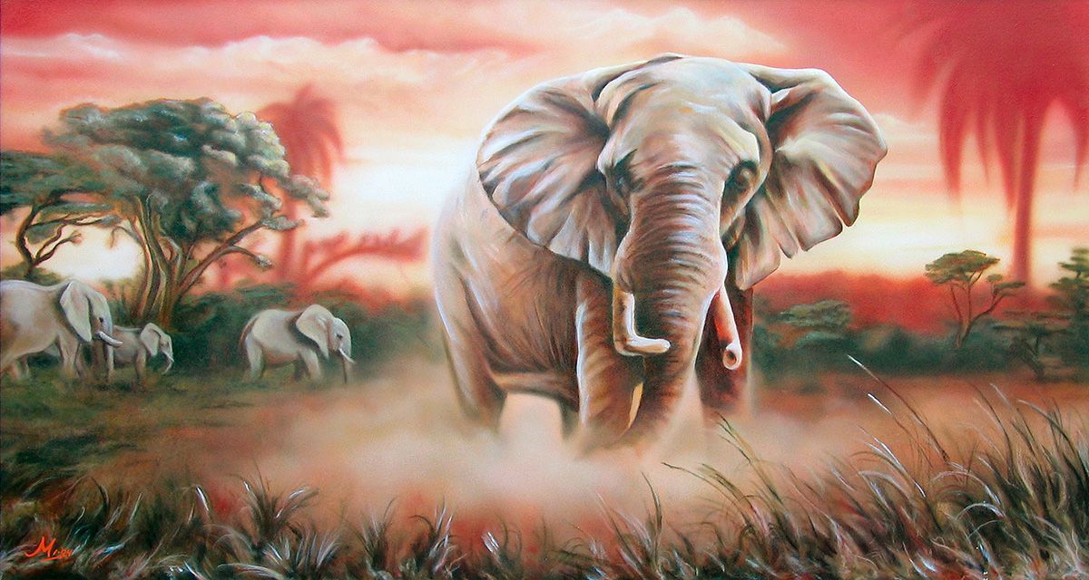 Een Afrikaanse olifant bij zonsondergang, met andere olifanten op de achtergrond.