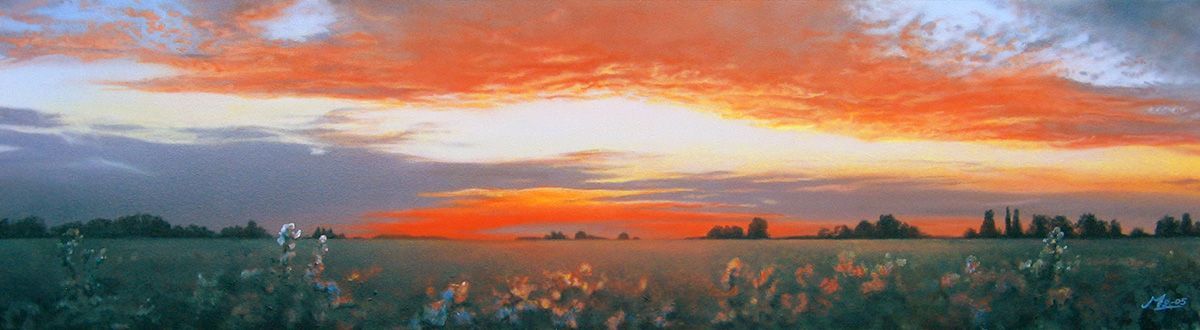 Zonsondergang boven een veld met wilde bloemen. Oranje en rode lucht boven een donkergroen veld met bomen in de verte.