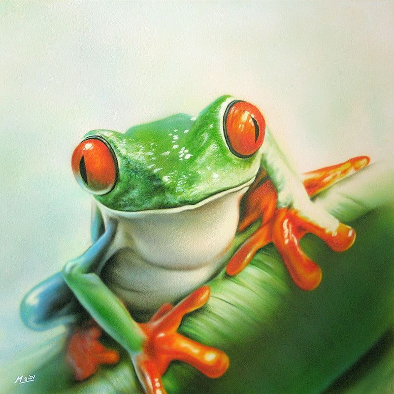 Schilderij van groene boomkikker met oranje voeten en rode ogen zit op een blad.