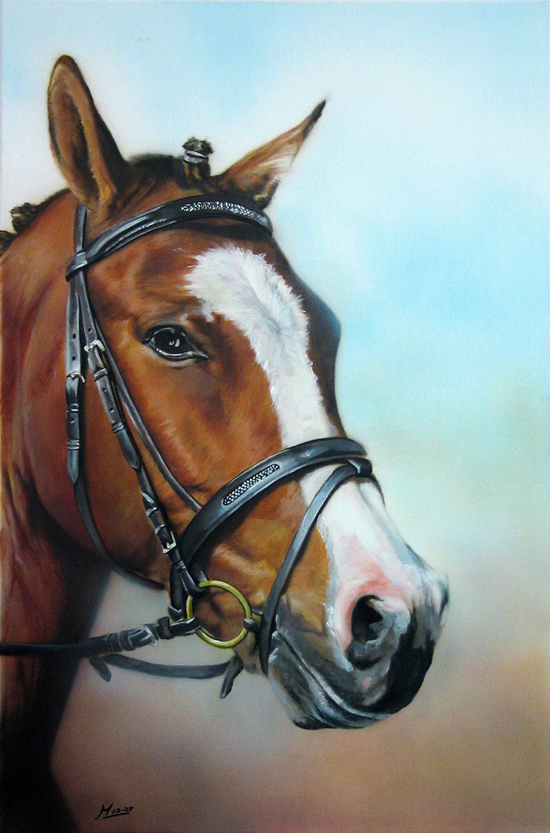 Bruin paard met witte bles, met teugel, geschilderd tegen een lichtblauwe achtergrond.