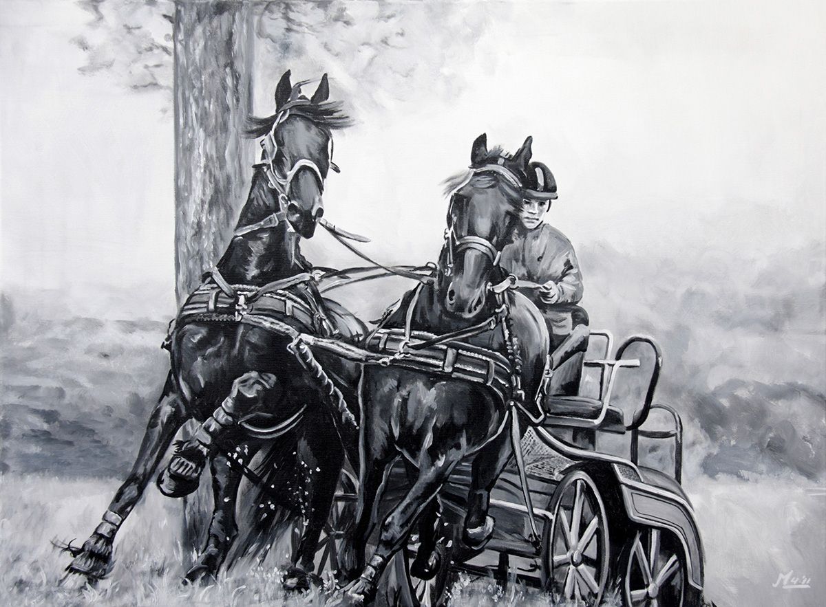 Twee paarden trekken een koets, de koetsier op de achtergrond, bomen op de achtergrond, monochroom.