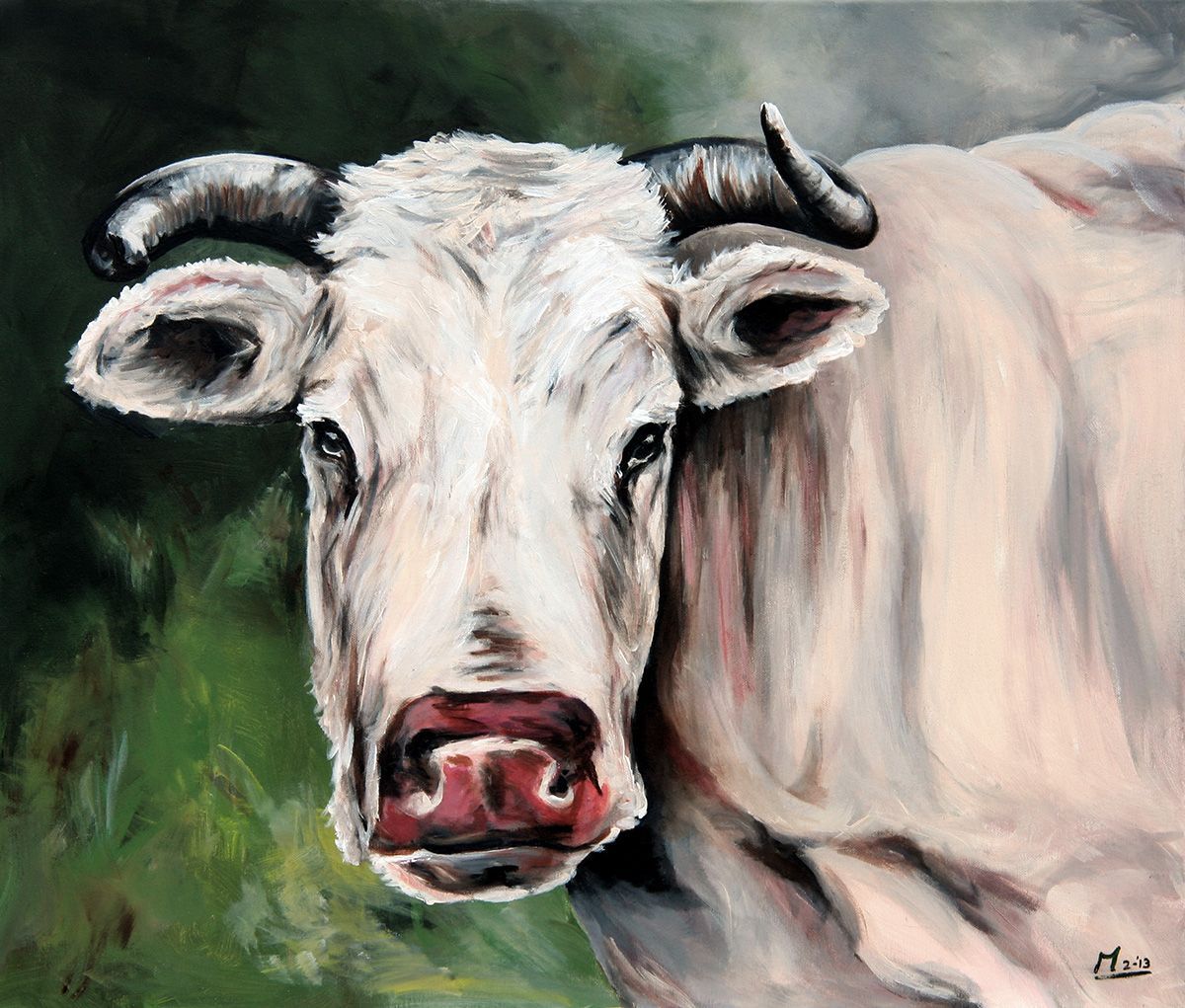 Witte koe met gebogen hoorns, die de toeschouwer recht aankijkt, tegen een groene achtergrond.