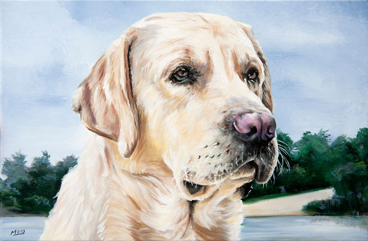 Schilderij van Labrador Retriever met blauwe lucht, rivier en groene bomen.