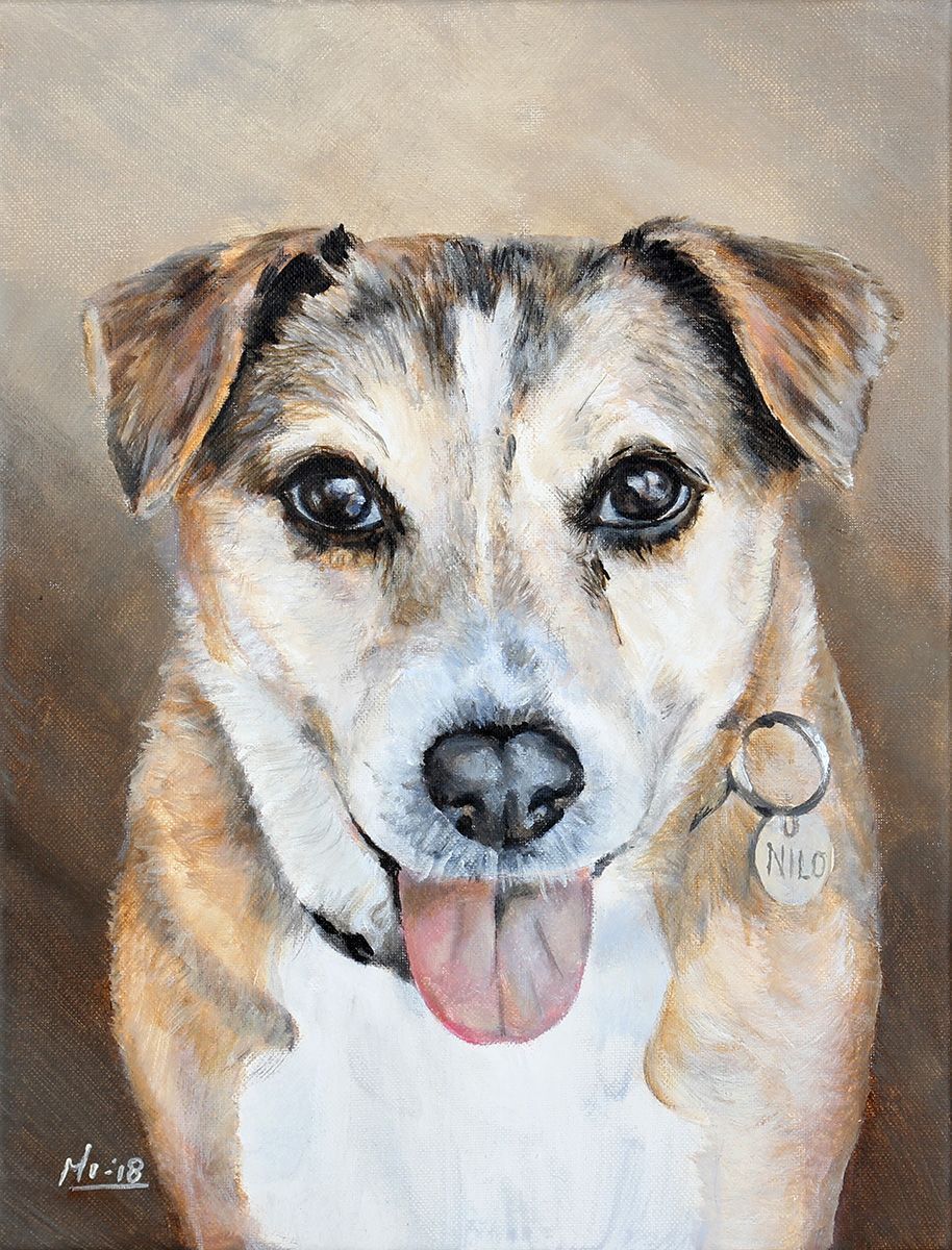 Portret van een hond met bruine, witte en bruine vacht, met halsband en penning.