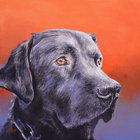 Portret zwarte labrador, geschilderd met acrylverf