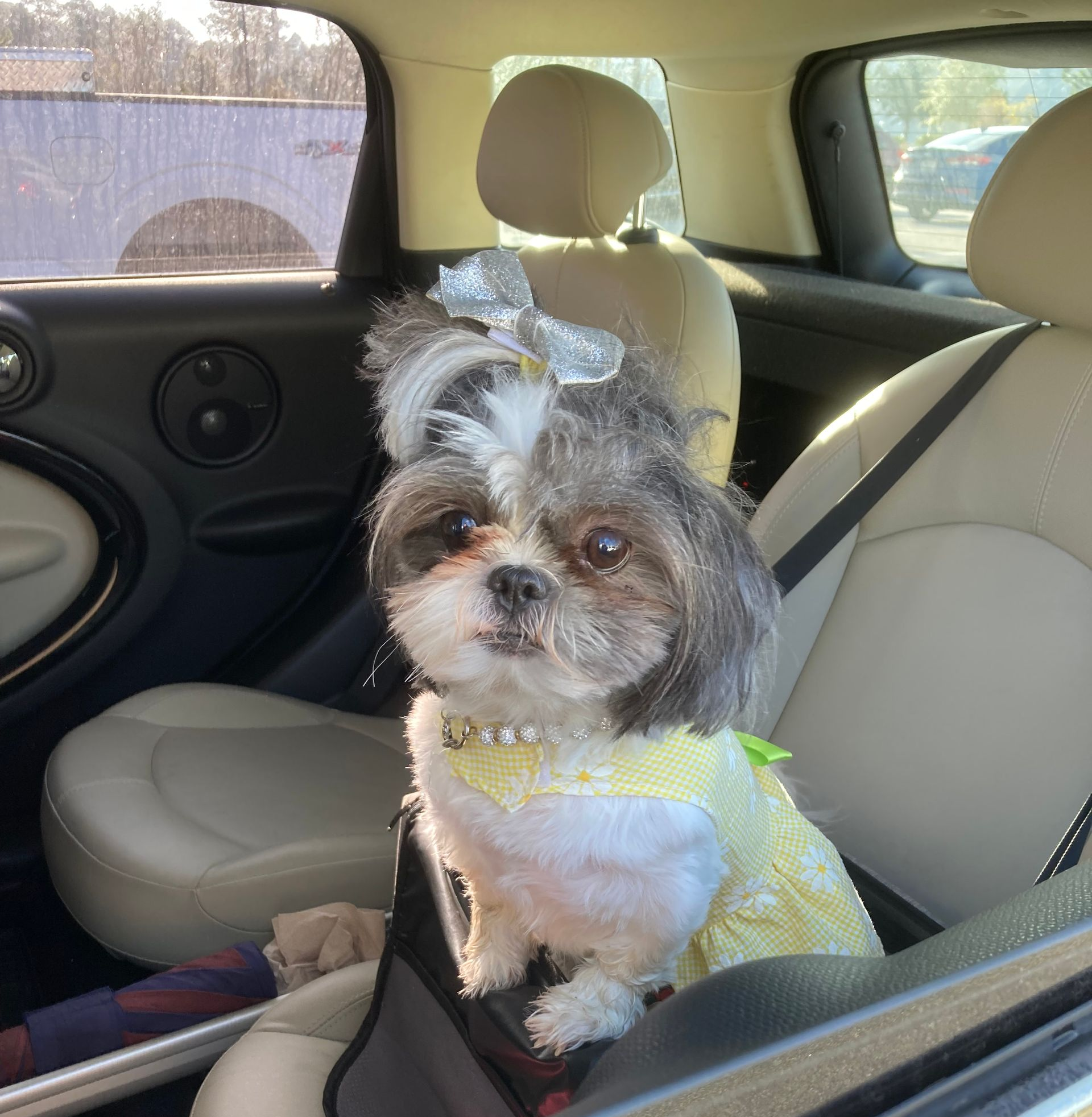 Small dog in a yellow outfit sits in a car seat, wearing a silver bow.
