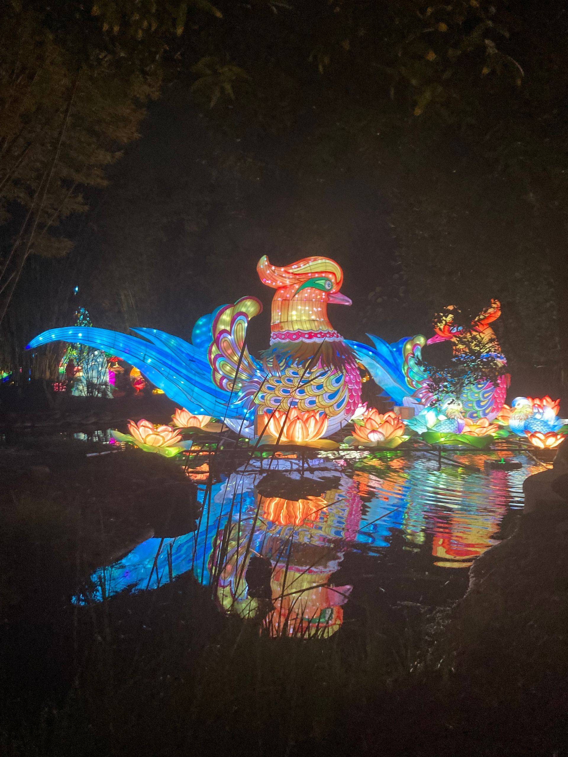 Colorful illuminated bird-shaped float reflected on dark water at night