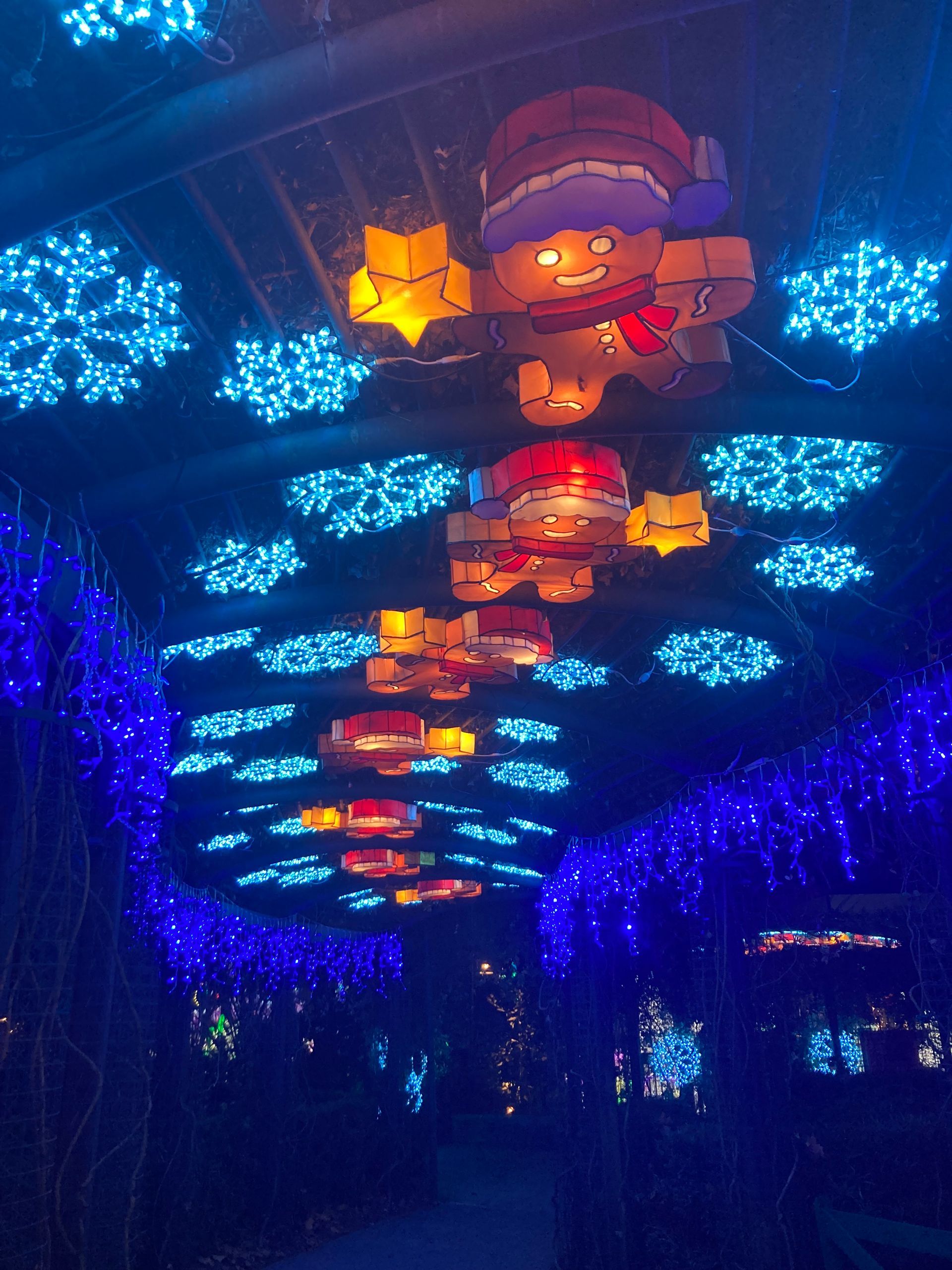 Colorful glowing lanterns and blue star-shaped lights hanging above a dark walkway at night