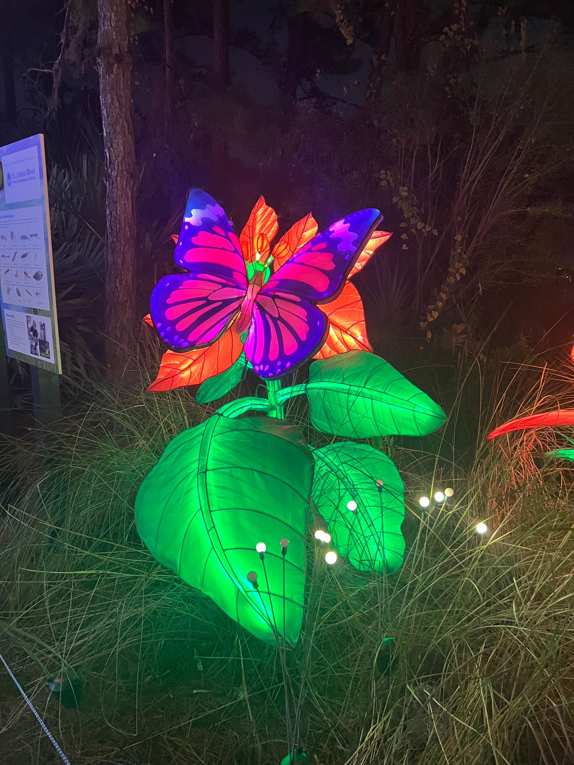 Glowing multicolor butterfly sculpture with green leaves at night