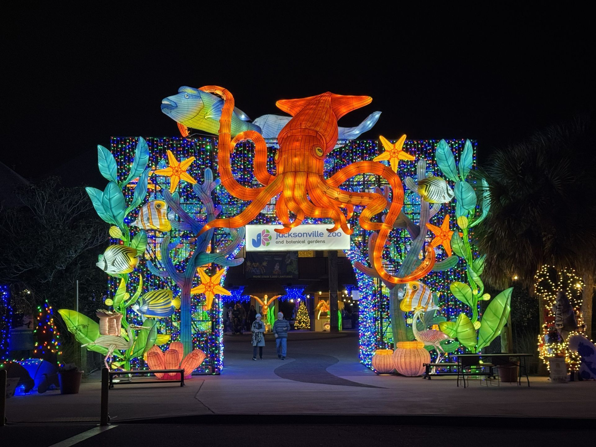 Colorful illuminated octopus and sea-life archway at night, marking a festive event entrance
