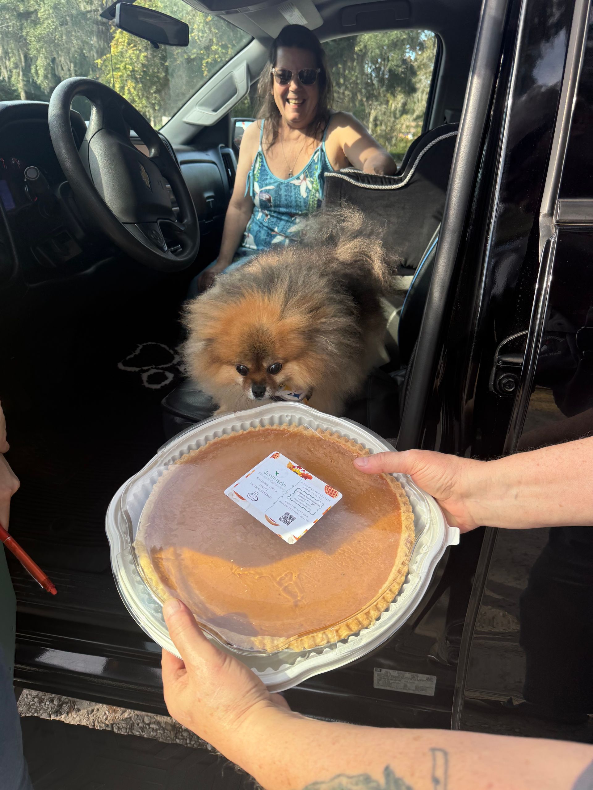 Hand holding a pie toward a dog sitting in a car, with a woman in the driver’s seat