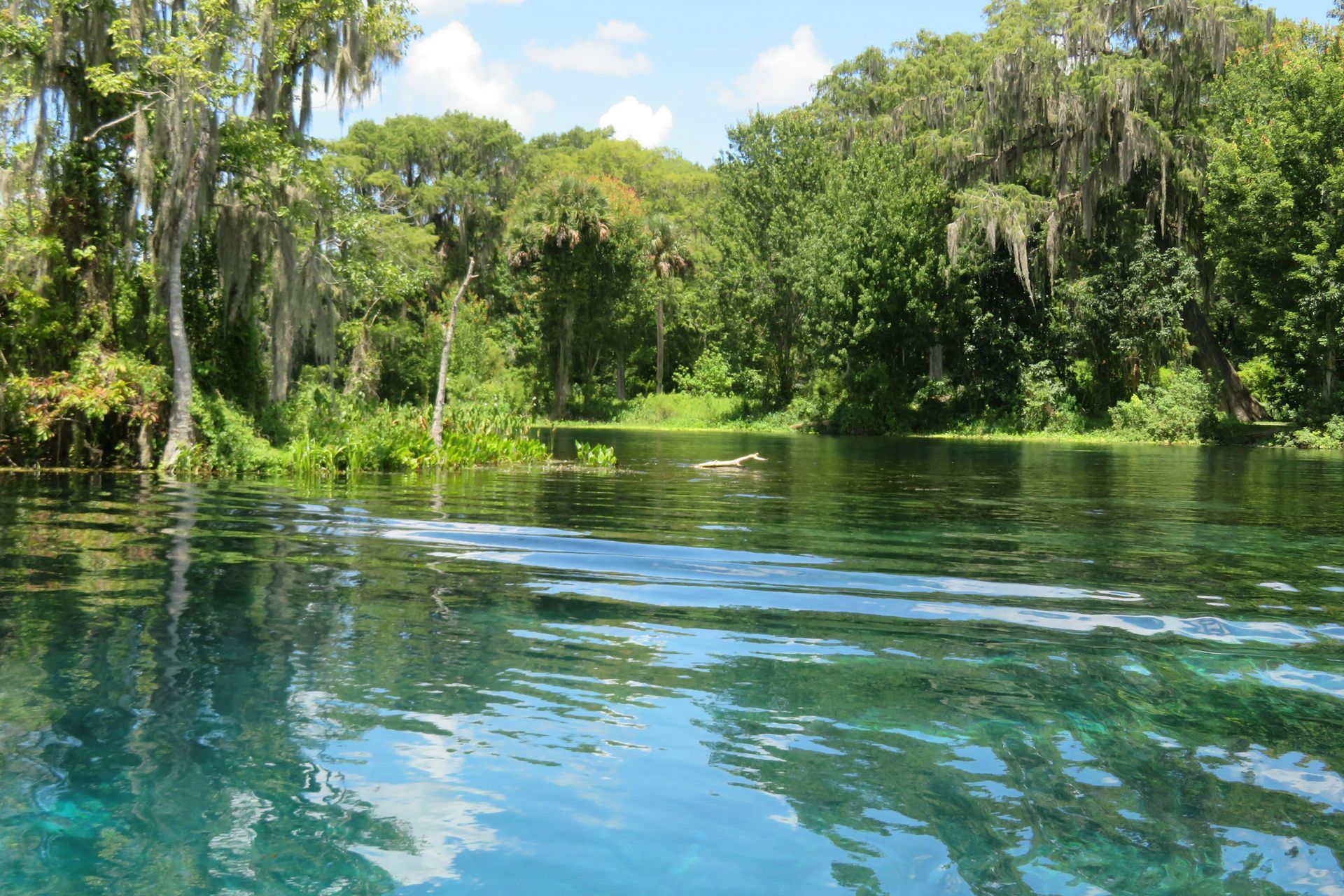 Clear blue river surrounded by lush green trees and hanging moss under a bright sky in Yulee, FL