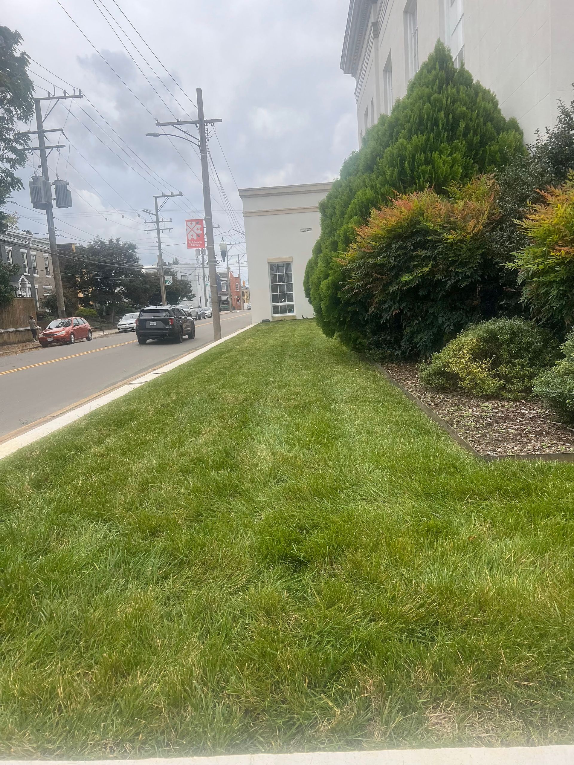 Commercial Lawn by Ckutting Up Lawn & Junk Removal