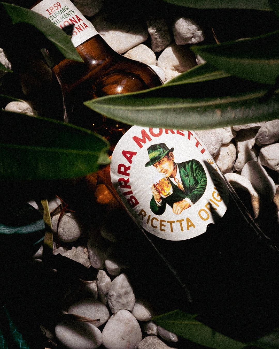 Een fles Birra Moretti-bier op witte stenen, omlijst door groene bladeren; op het etiket staat een man met een groene hoed afgebeeld die bier drinkt.