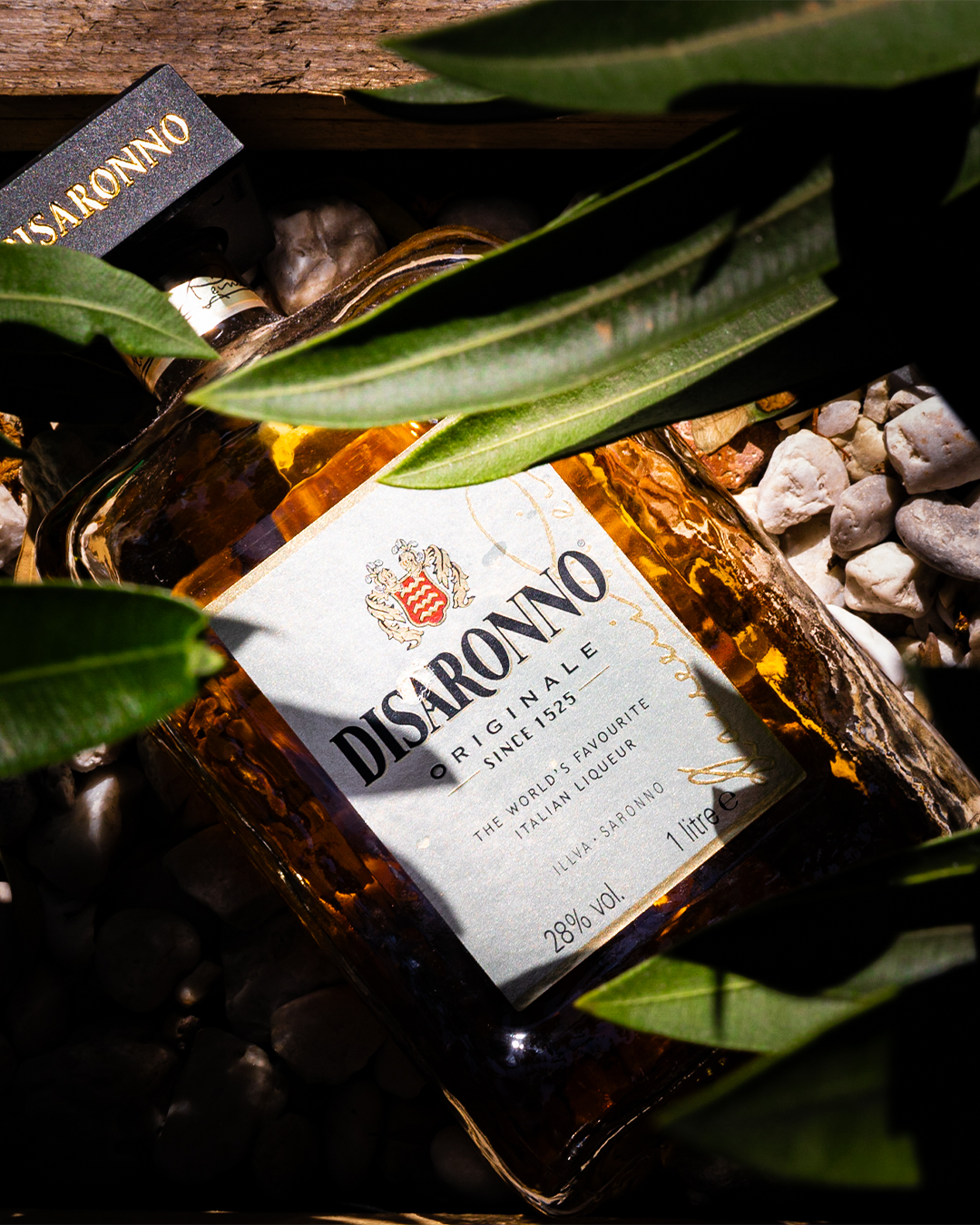 Een fles Disaronno amaretto, omringd door groene bladeren en kleine steentjes.