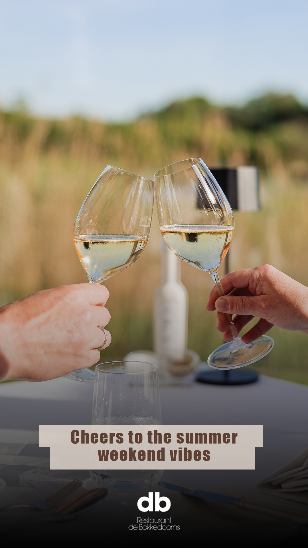 Twee handen klinken in de buitenlucht met wijnglazen gevuld met witte wijn. Proost op de zomerse weekendstemming.