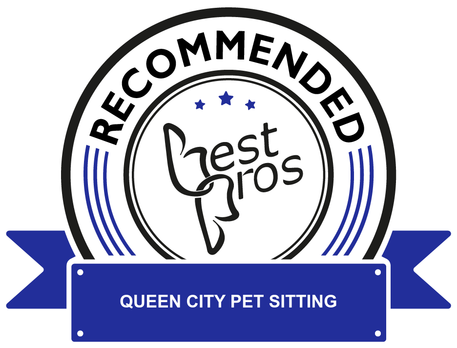 Logo for Queen City Pet Sitting, recommended by Best Pros, featuring blue and black colors.