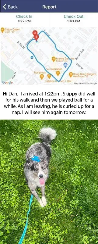 Mobile app interface for Queen City Pet Sitting