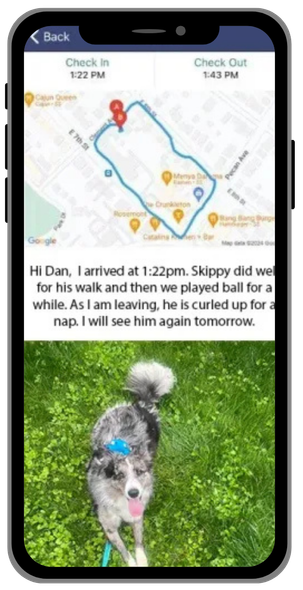 Dog walk report with map of route. Dog in grass, text report.