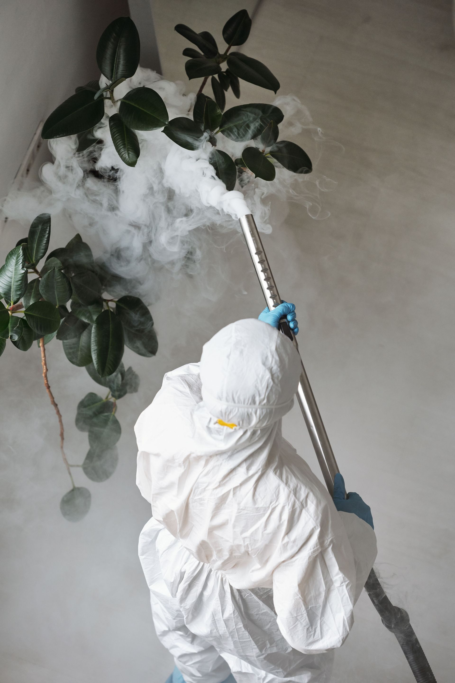 Person in white protective suit spraying mist around indoor potted plants with a sprayer