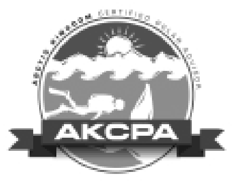 A black and white logo for a company called akcpa.
