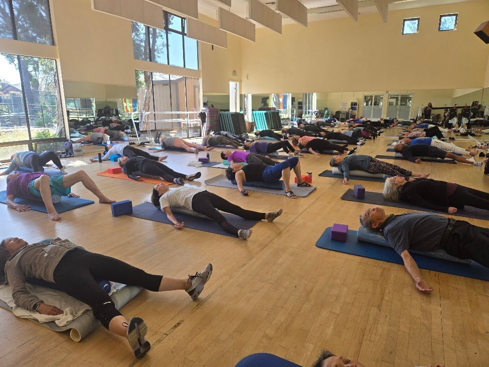 People lying on yoga mats doing a floor stretch in a bright studio