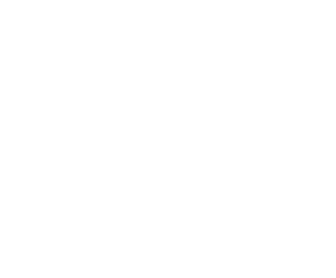 Michelangelo's hole-LOGO