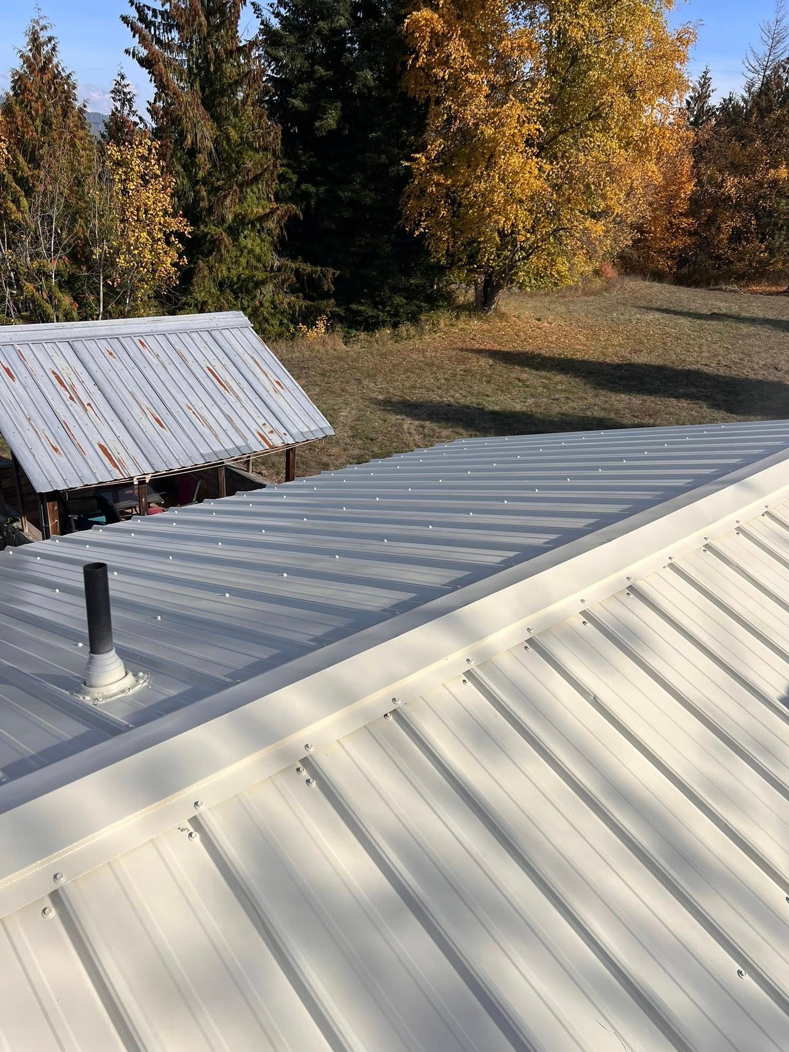 White metal roofs with visible ridges. One roof has a black chimney, another is covered in leaves. Trees in the background.