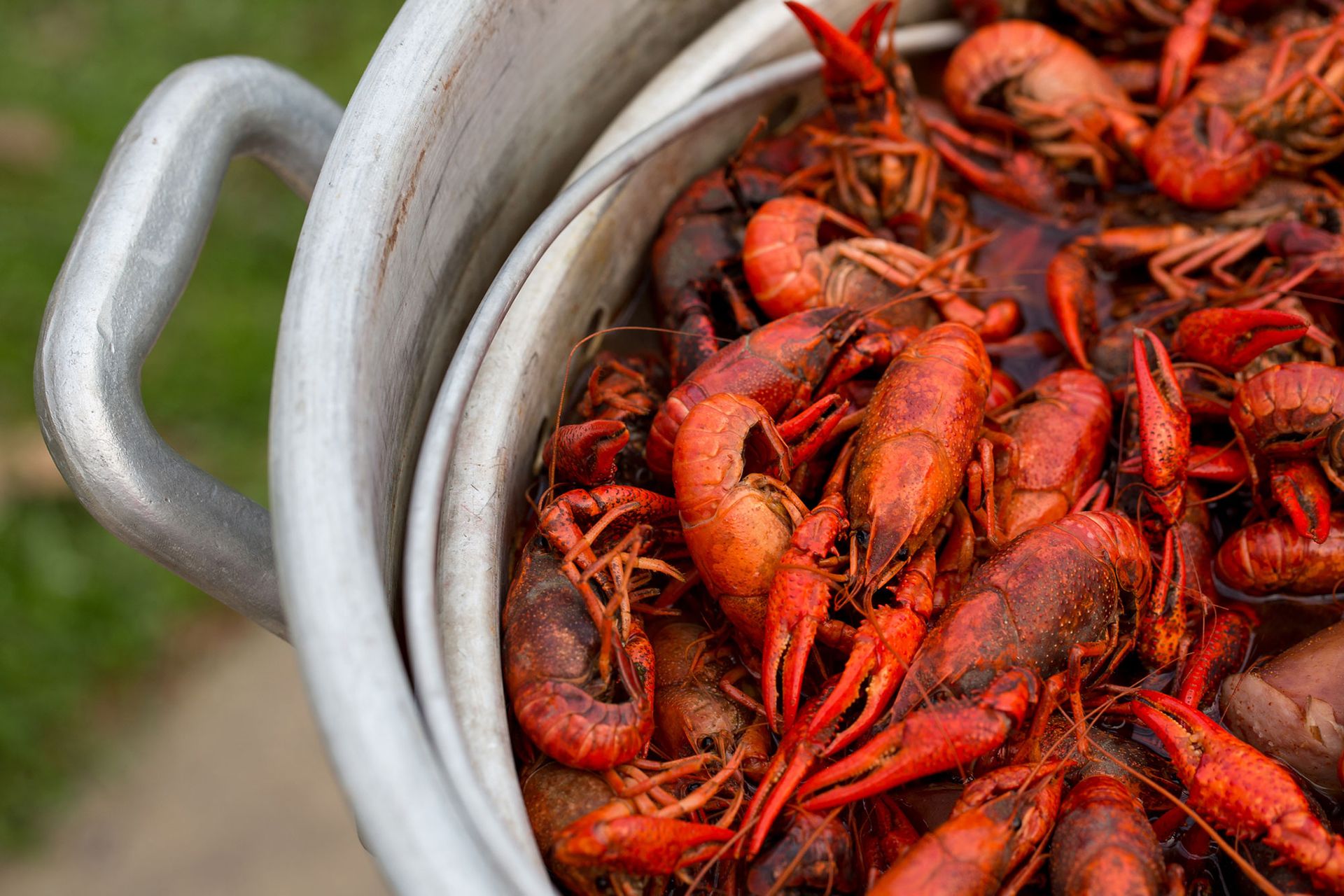 Gulf Shores Crawfish Gulf Shores Crawfish