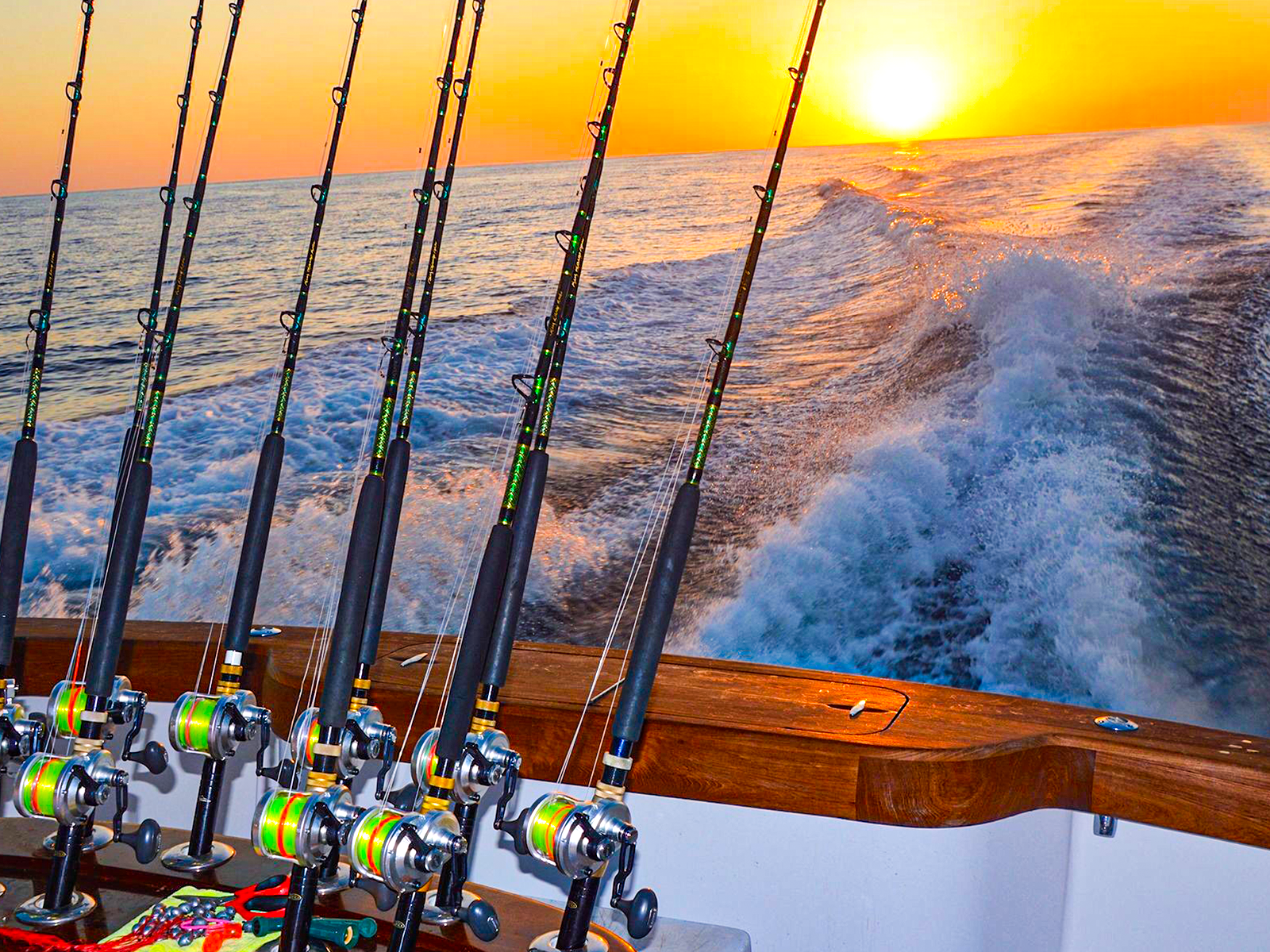 Orange Beach MAAAC Fishing Rodeo Orange Beach MAAAC Fishing Rodeo