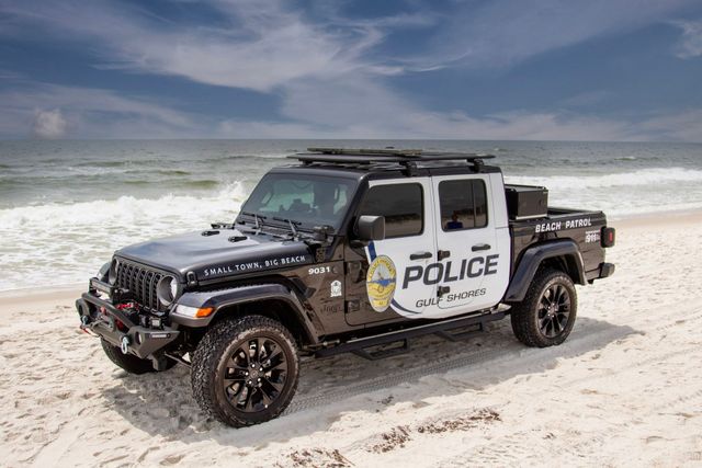 Gulf Shores Police Summary