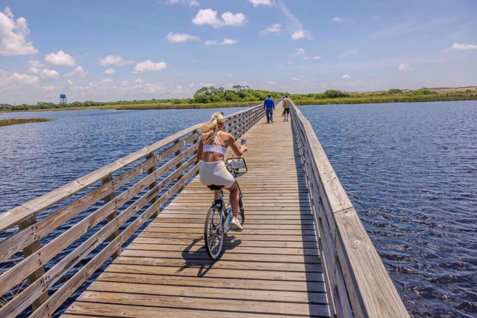 News about Gulf Shores Parks