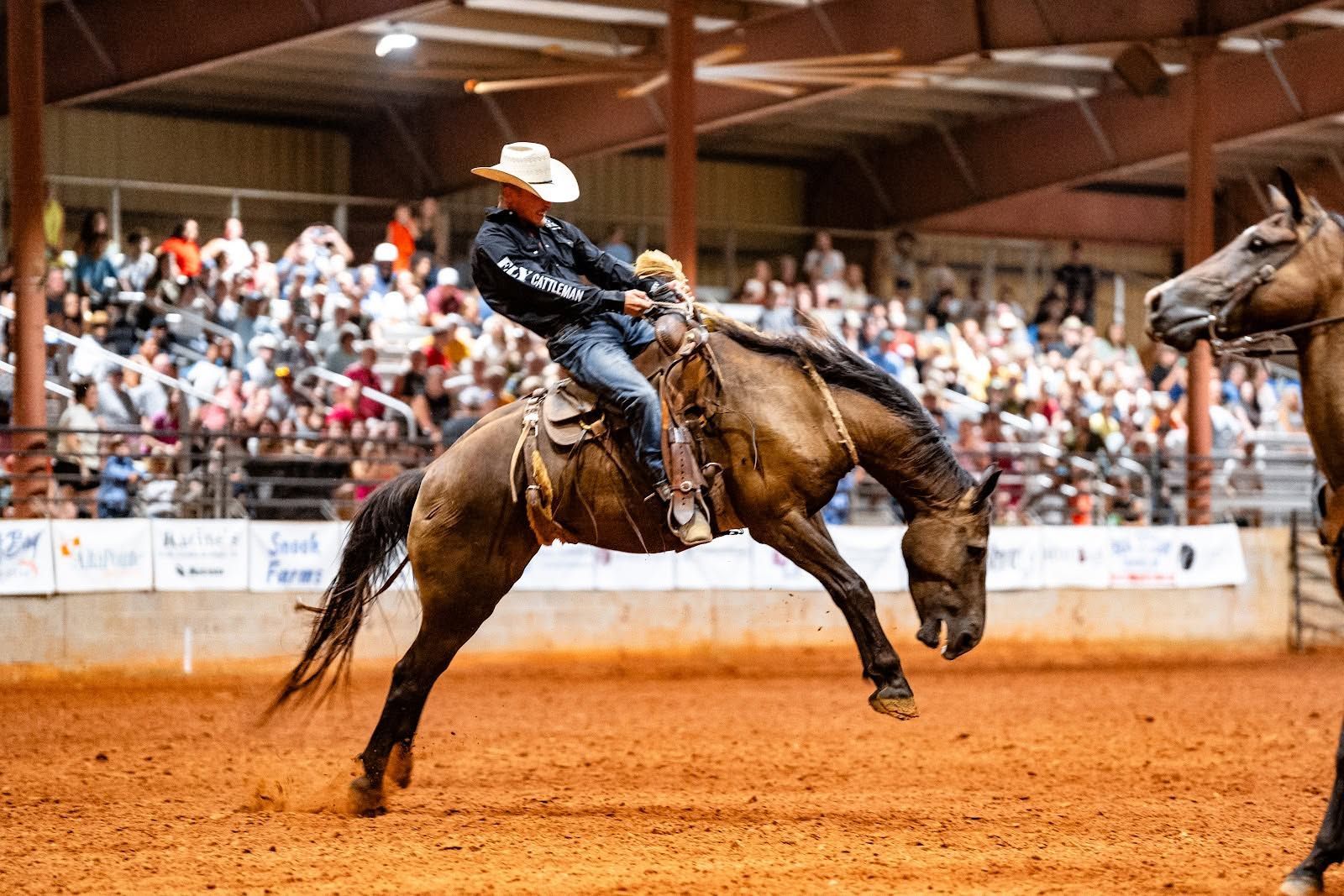 Jennifer Claire Moore Annual Rodeo Jennifer Claire Moore Annual Rodeo