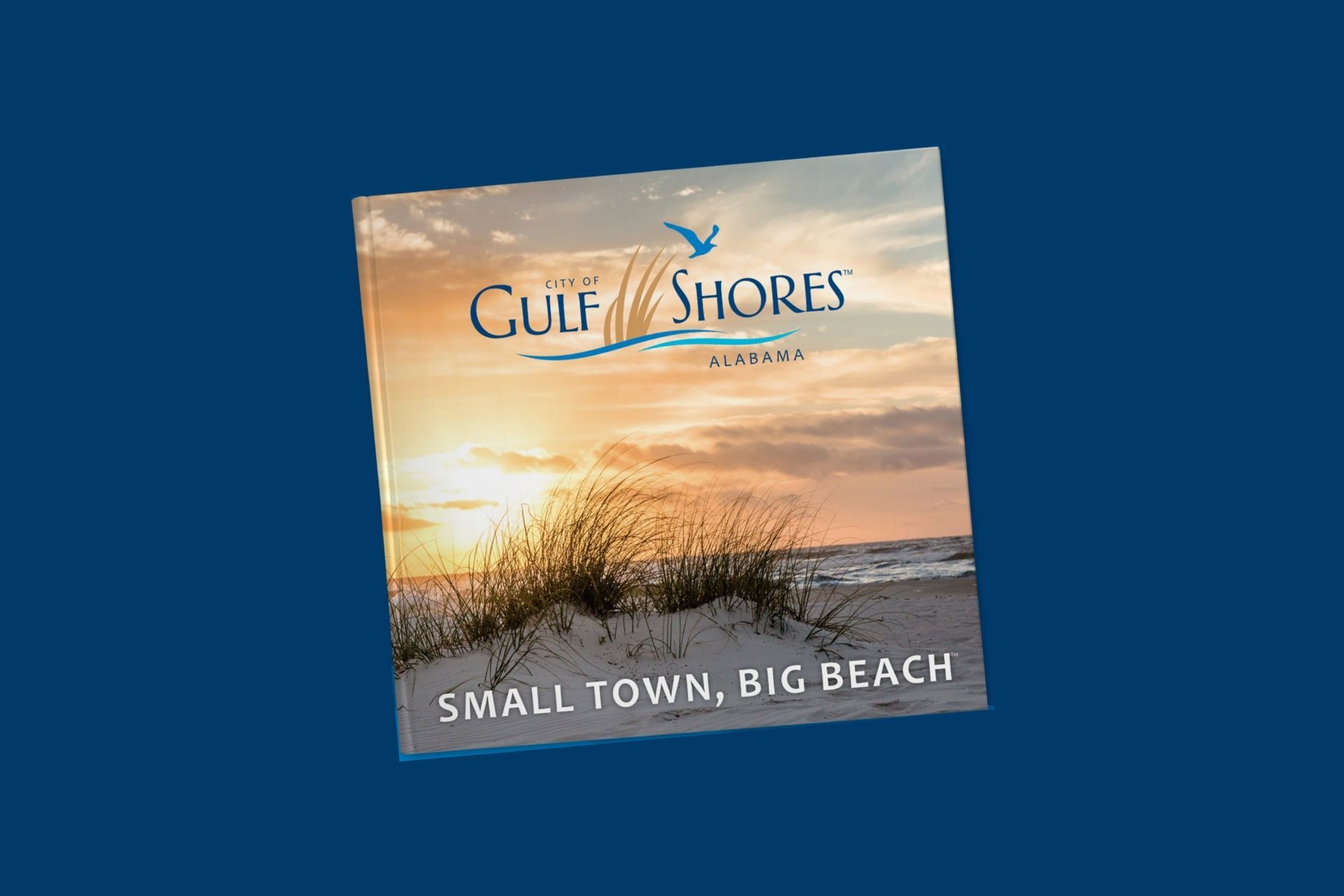 Gulf Shores History News Gulf Shores History Book