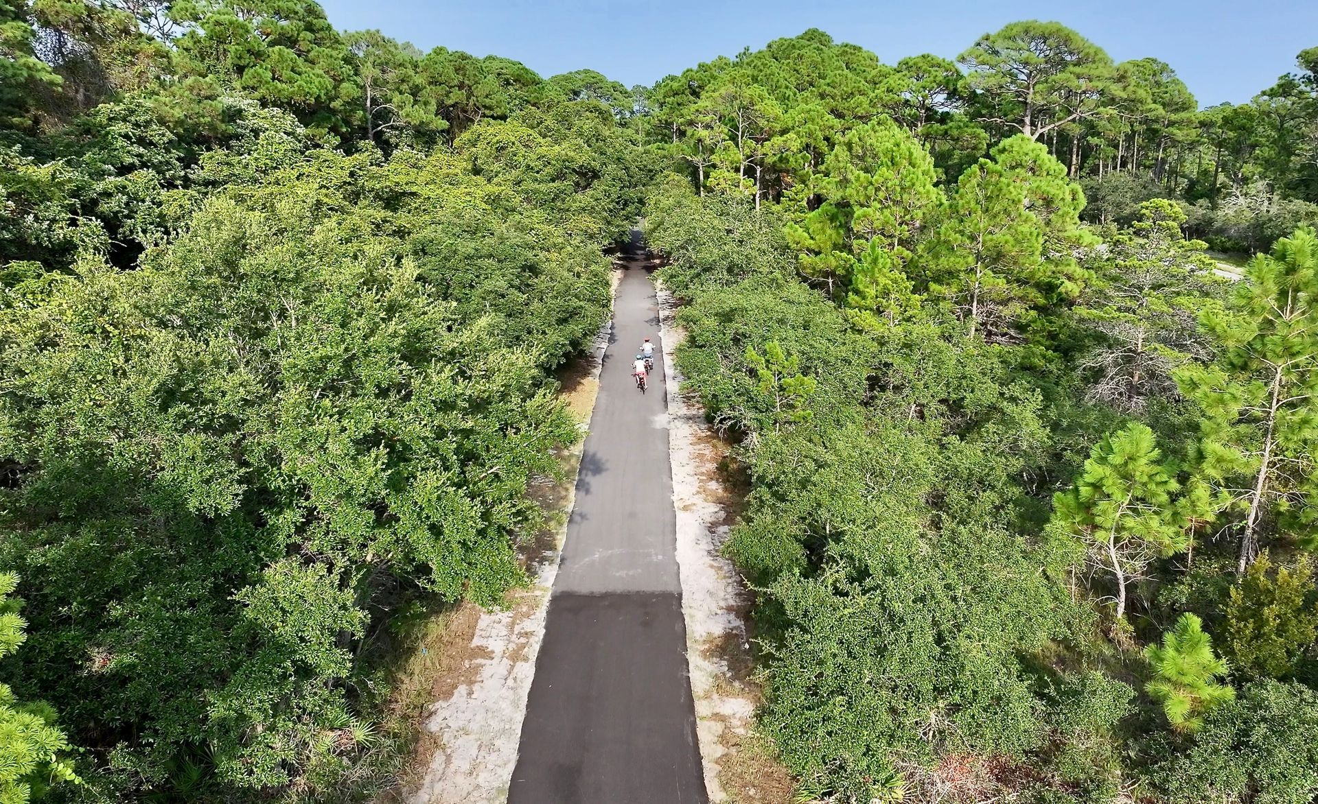 Gulf State Park Trails