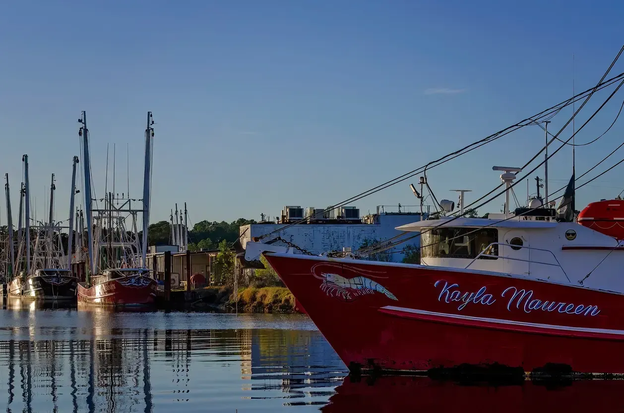 shrimp news in Gulf Shores