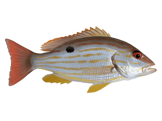 GULF SHORES FISHING NEWS