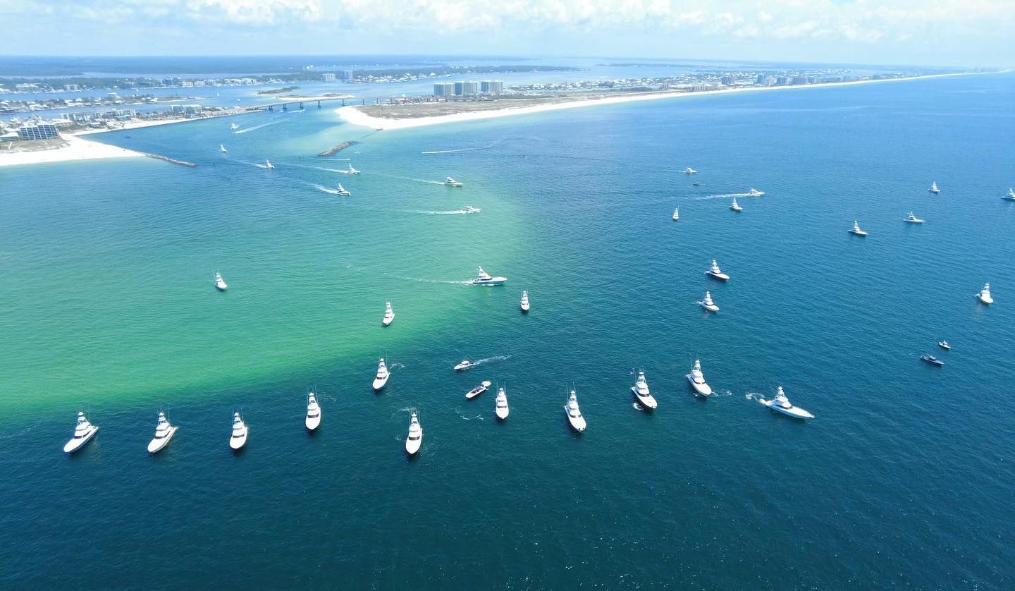 Fishing News in Gulf Shores