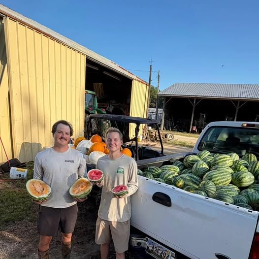 Fall at Krupinski Farms in Foley