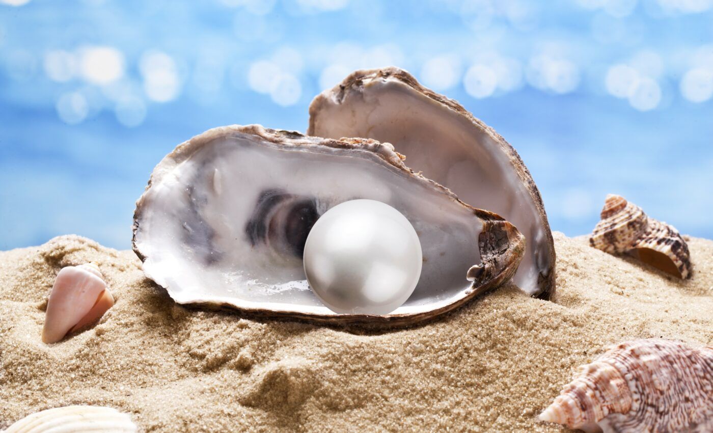 Gulf Shores Oyster Fest News
