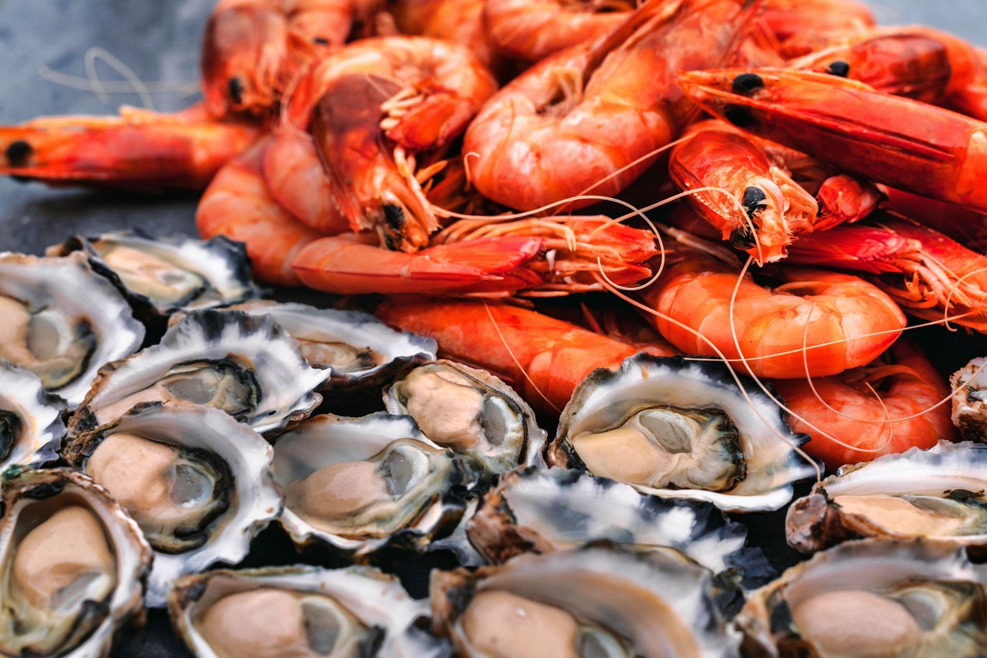 Gulf Shores event news