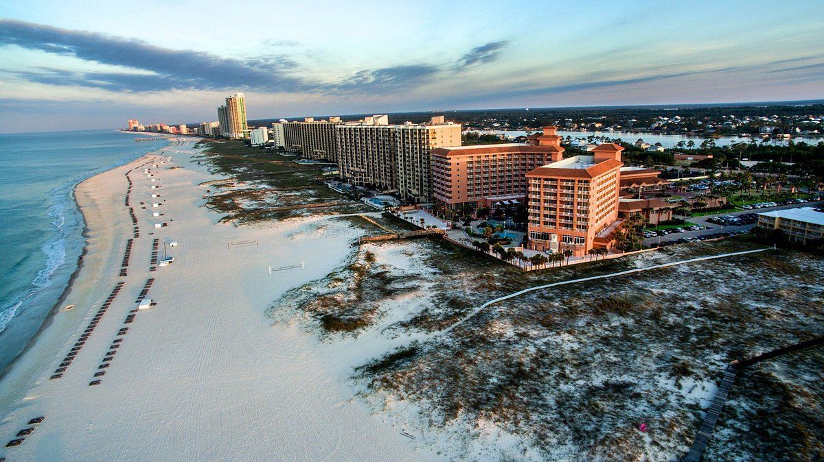education news in the gulf shores area
