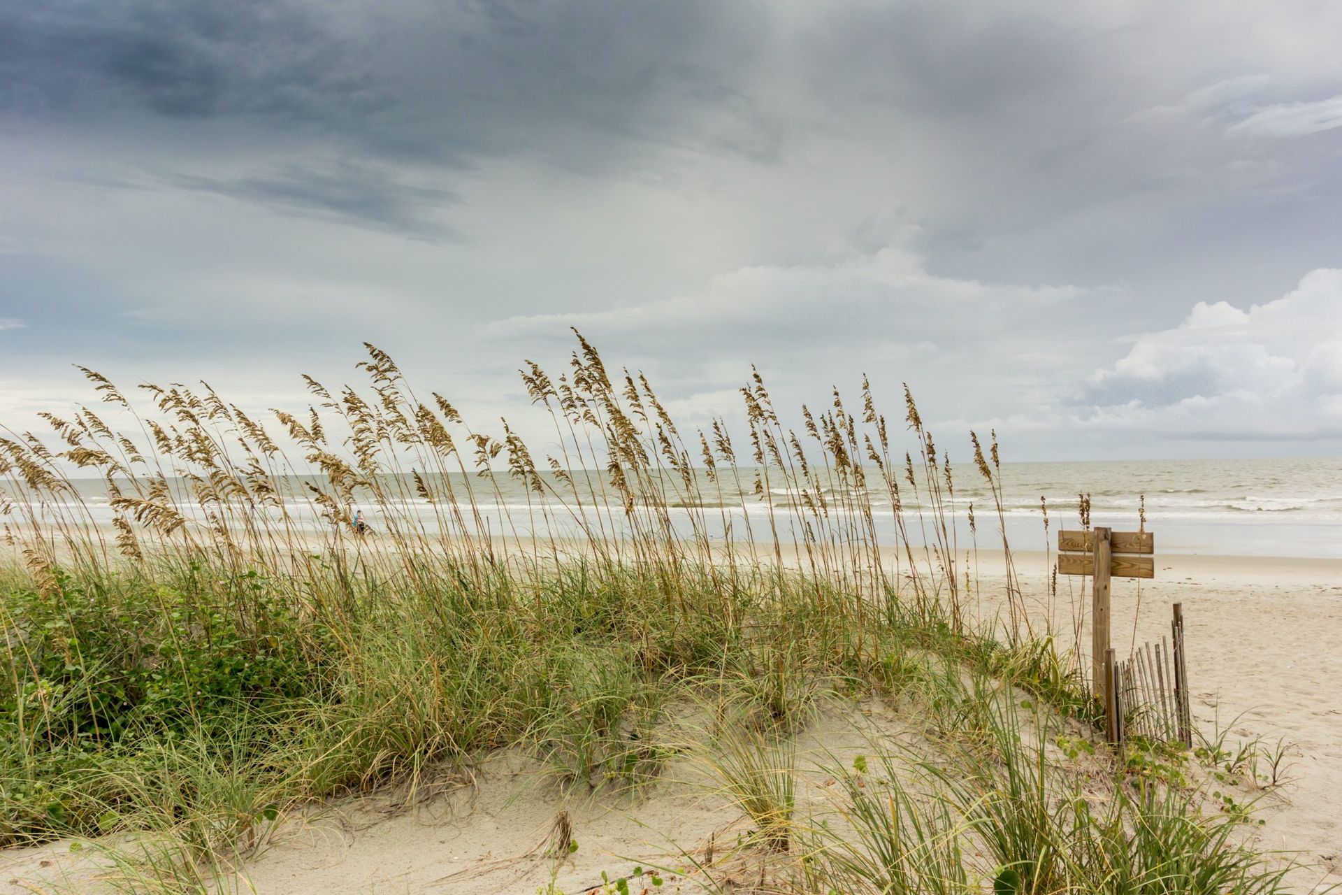 news in Gulf Shores, Alabama