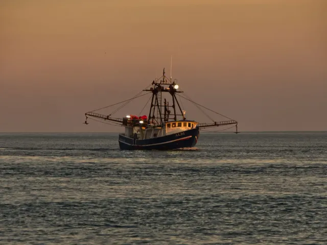Gulf Shores Fishing News