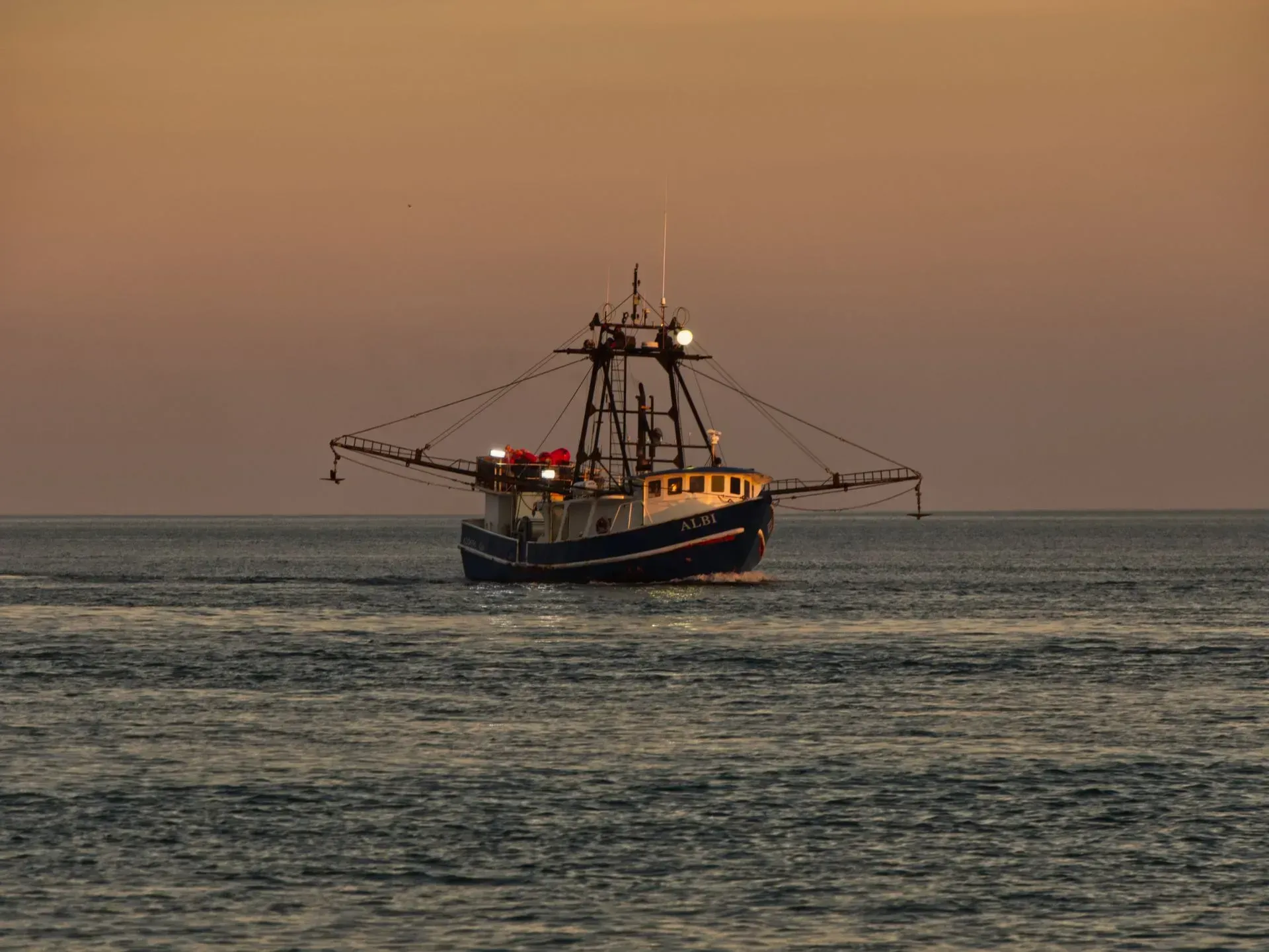 gulf shores seafood news